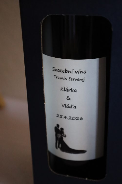 svatba_klarka_vlada_177